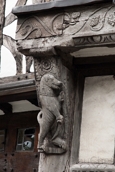 Ed -DSC_0215.jpg